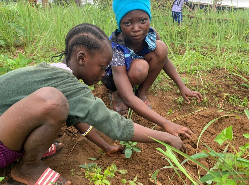 Children of SHARP planting trees