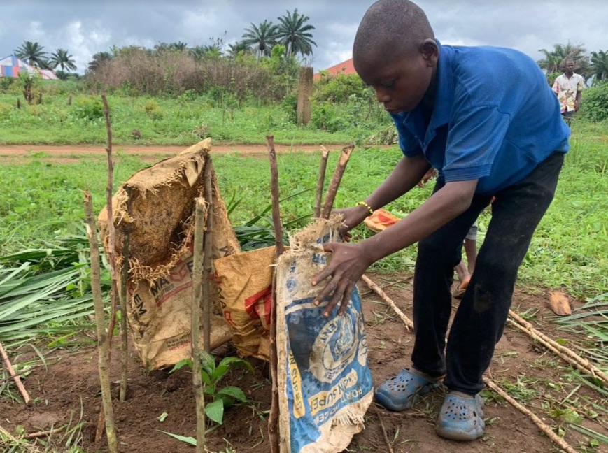 Children of SHARP planting trees