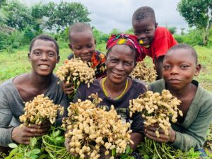 A family gathers their peanut crop